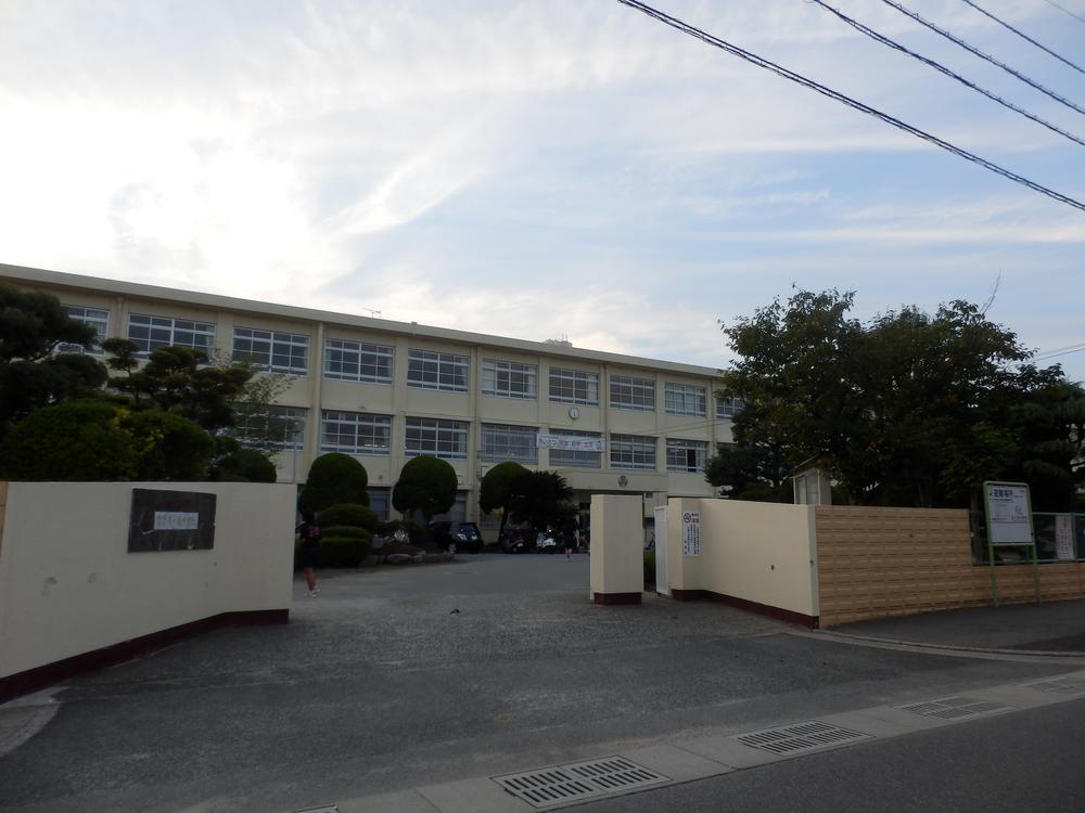 Other. Tatara junior high school
