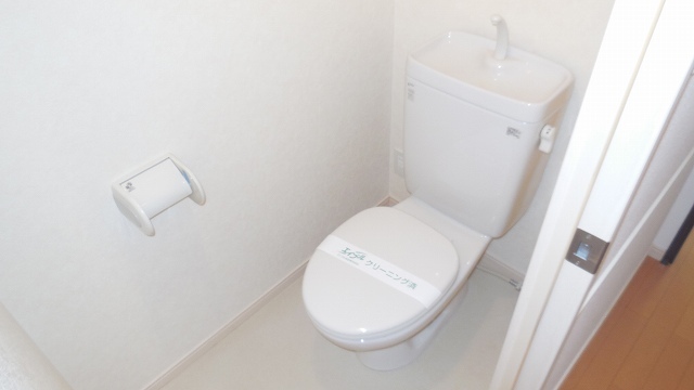 Other room space. A clean toilet