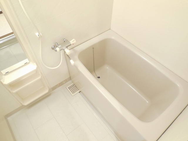 Bath. Tired of the day please is certainly healed in this bus