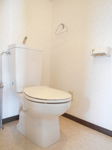 Other room space. Toilet with cleanliness