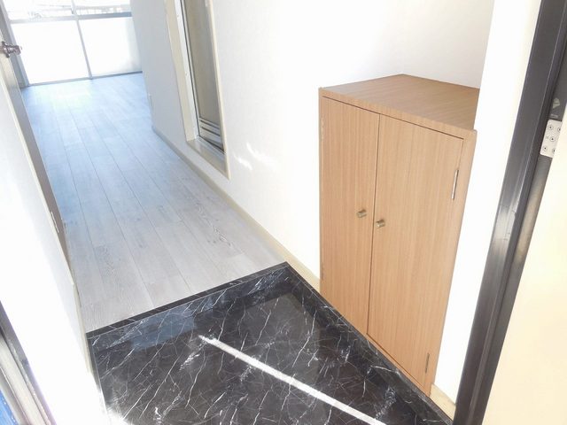 Entrance. Fashionable entrance tile