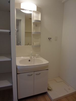 Washroom. Wash basin