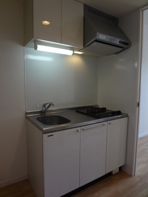 Kitchen. System kitchen