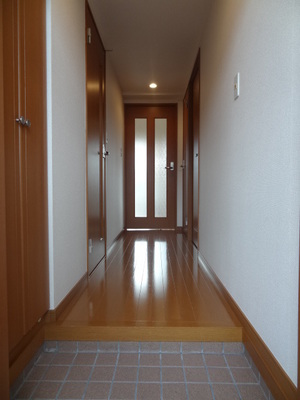 Entrance. Entrance hall