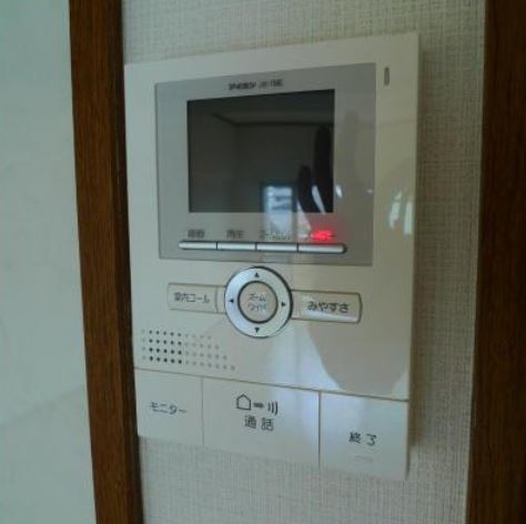 Security. TV monitor phone