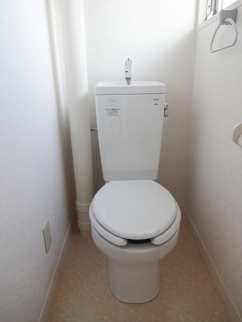 Toilet. Toilet