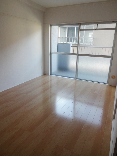 Other room space. Western style room