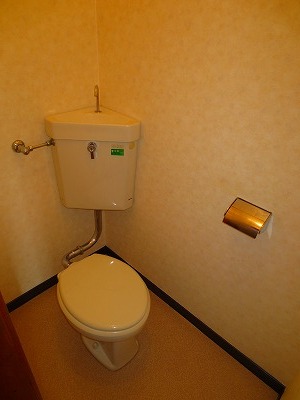 Toilet. Toilet
