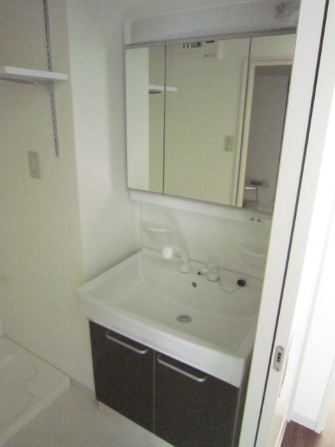 Washroom. Shampoo dresser