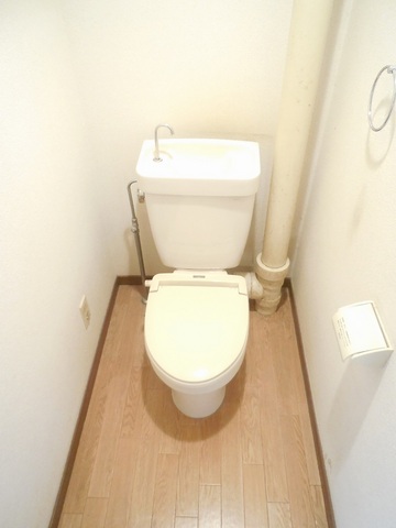 Other room space. Beautiful toilet