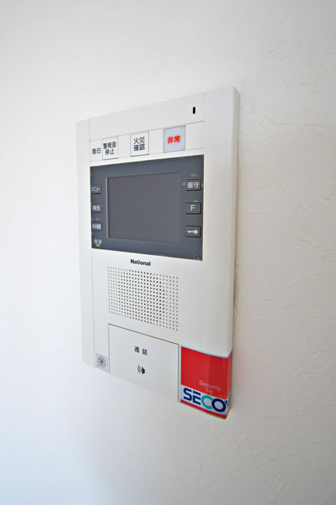 Security. TV monitor phone