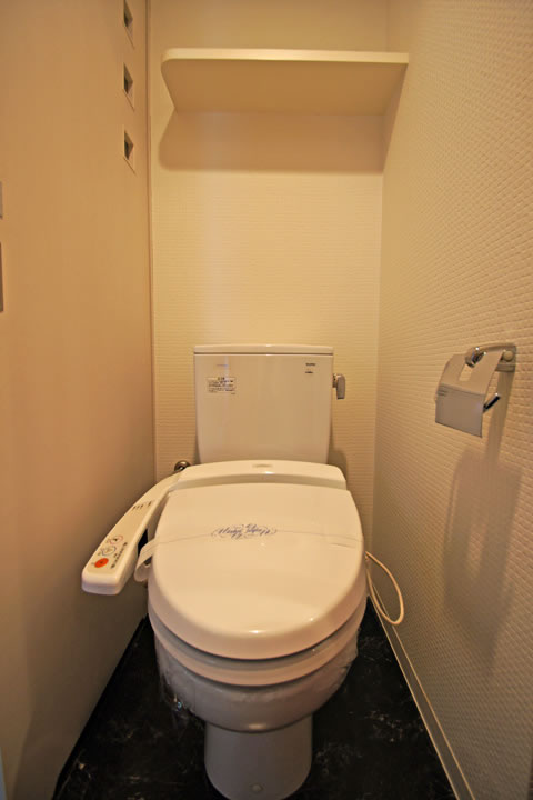 Toilet. Bidet function