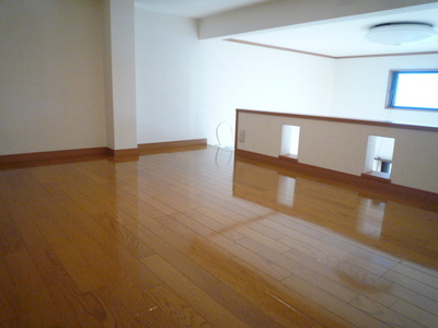 Living and room. loft