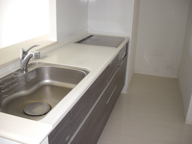 Kitchen. IH3 burner stove