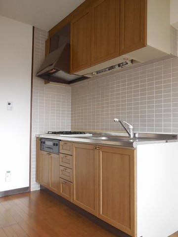 Kitchen. Stove with system Kitchen