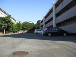 Parking lot. Spacious parking