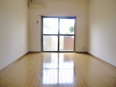 Living and room. Living