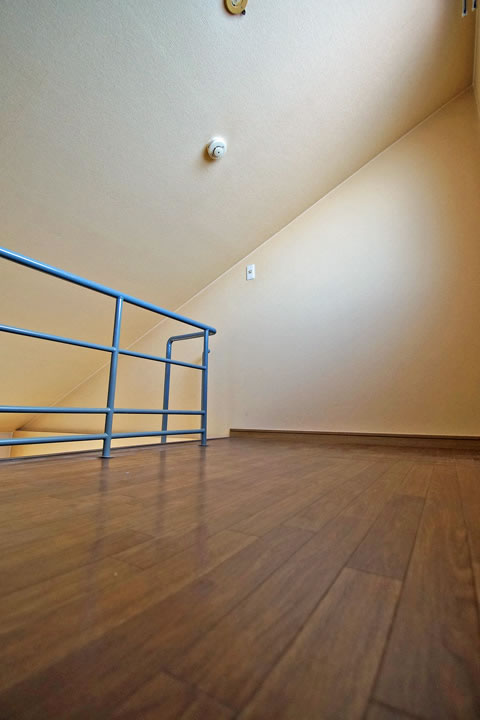 Other room space. loft