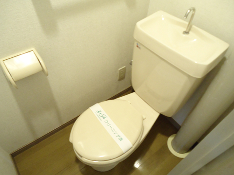 Toilet