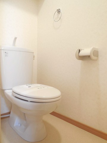 Other room space. A clean toilet