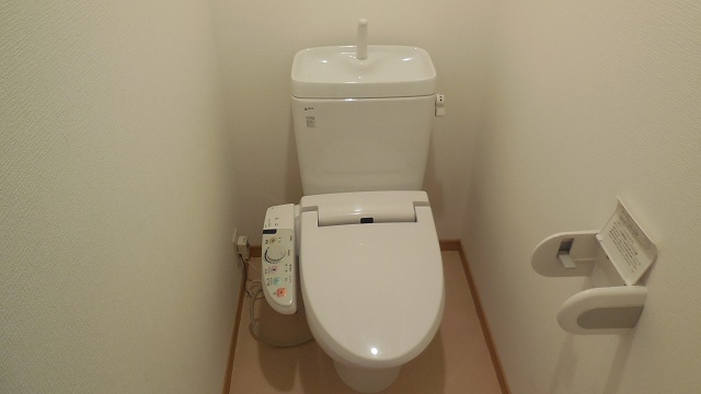 Other room space. It comes with a shower