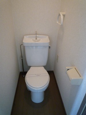 Toilet. Toilet