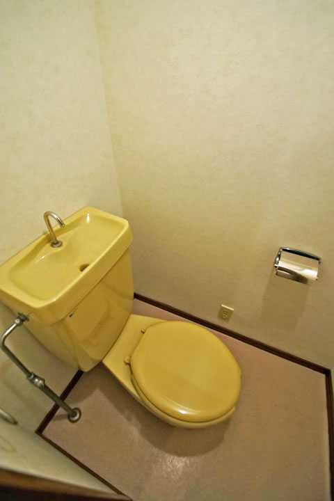 Toilet
