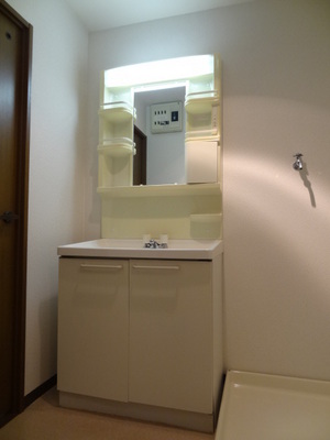 Washroom. Wash basin