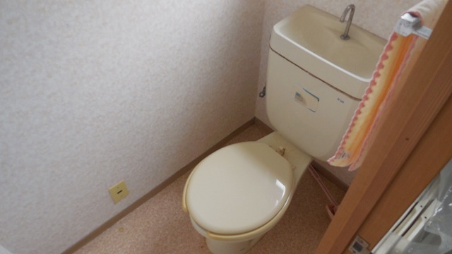 Other room space. Toilet with cleanliness