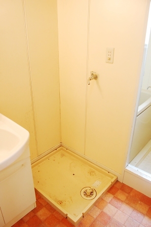 Washroom. Washing machine Storage (isomorphic type)