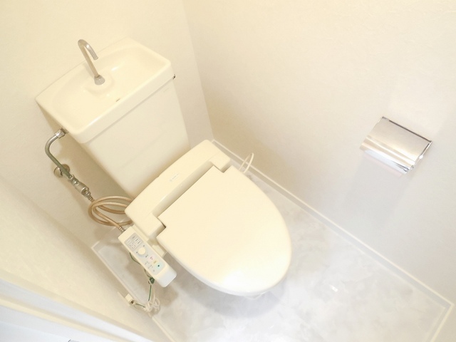 Other room space. Shower toilet