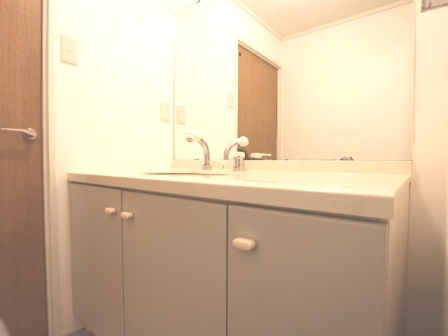 Washroom. Wash basin