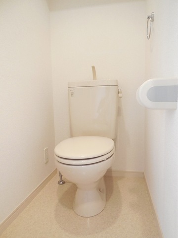 Other room space. Toilet with cleanliness