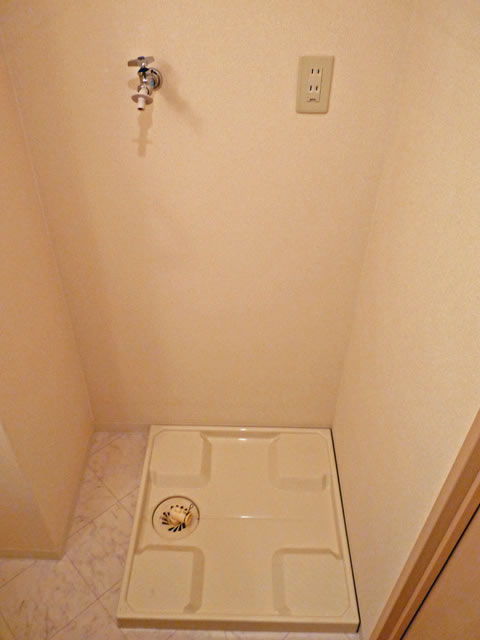 Washroom. Washing machine Storage