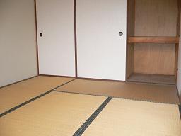 Living and room. Living