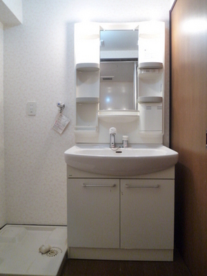 Washroom. Wash basin