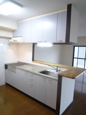 Kitchen. Kitchen