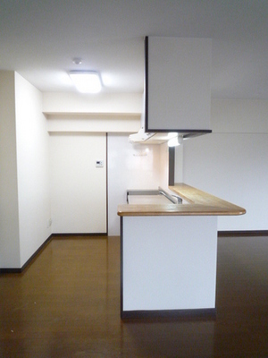 Kitchen. Kitchen