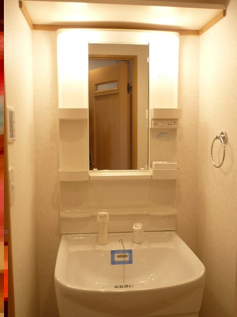 Entrance. Shampoo dresser