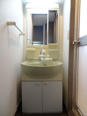 Washroom. Wash basin