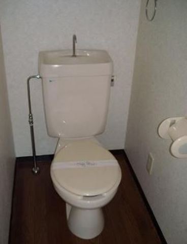 Bath. A clean toilet