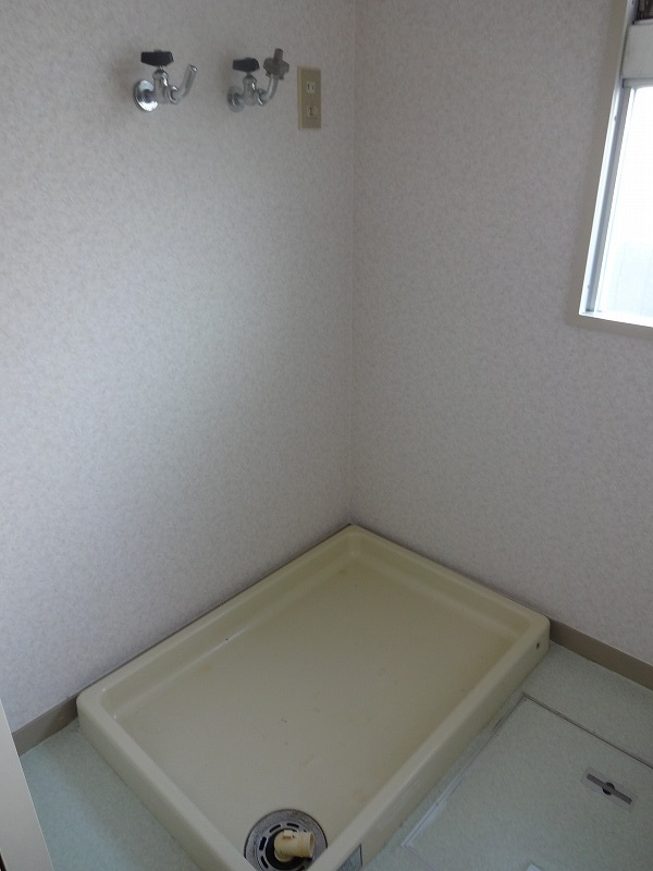 Washroom. Washing machine Storage