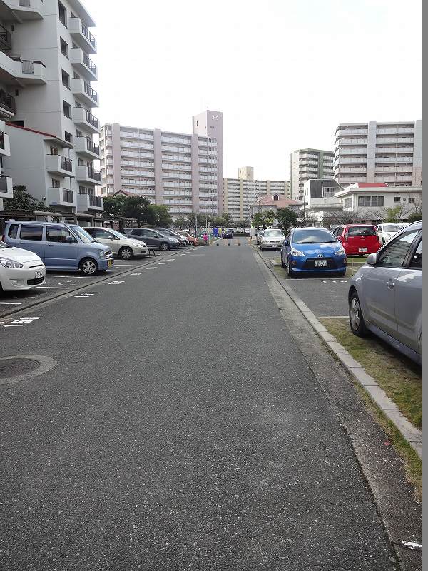 Parking lot. Parking lot