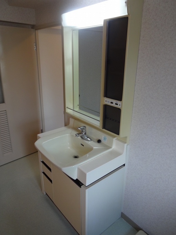 Washroom. Bathroom vanity