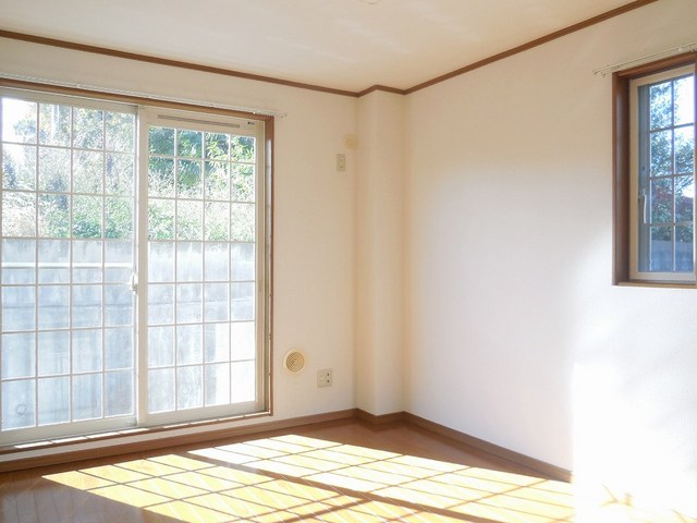 Living and room. Full living room light