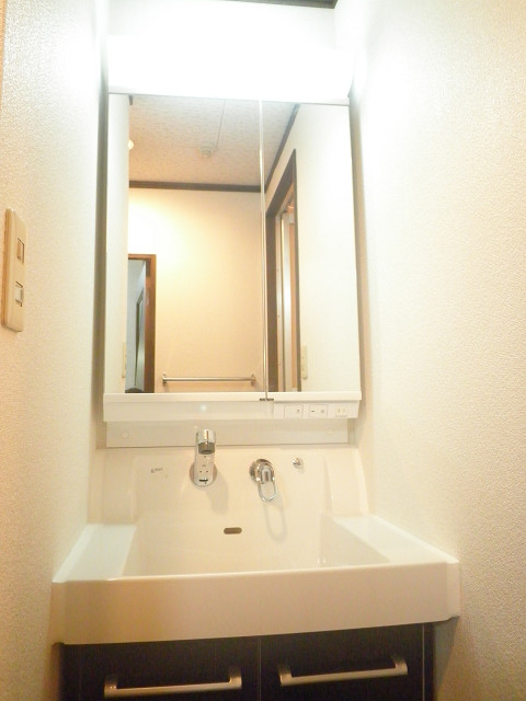 Washroom. Stylish shampoo dresser