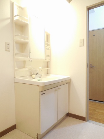 Other room space. Shampoo dresser in a separate basin