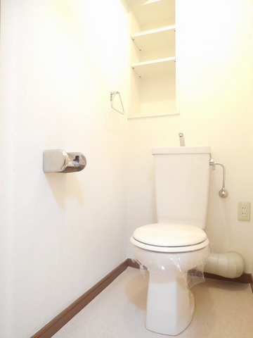Other room space. A clean toilet