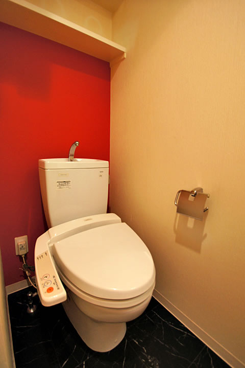 Toilet. Bidet with function