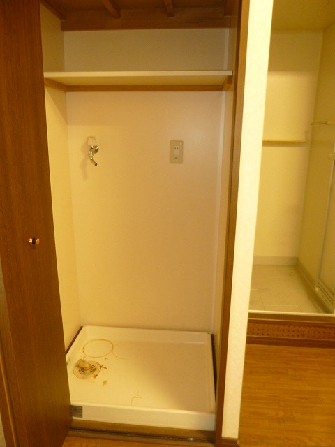 Other. Washing machine in the room!